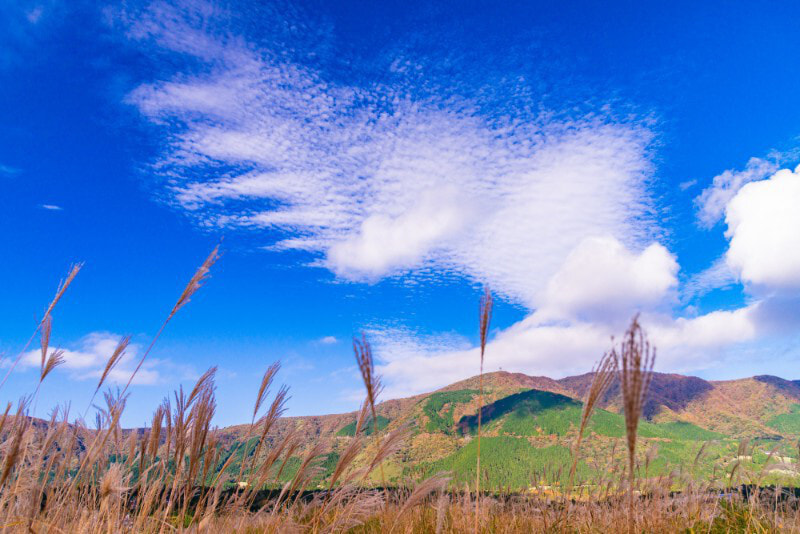 pixta_50960183_m.jpg